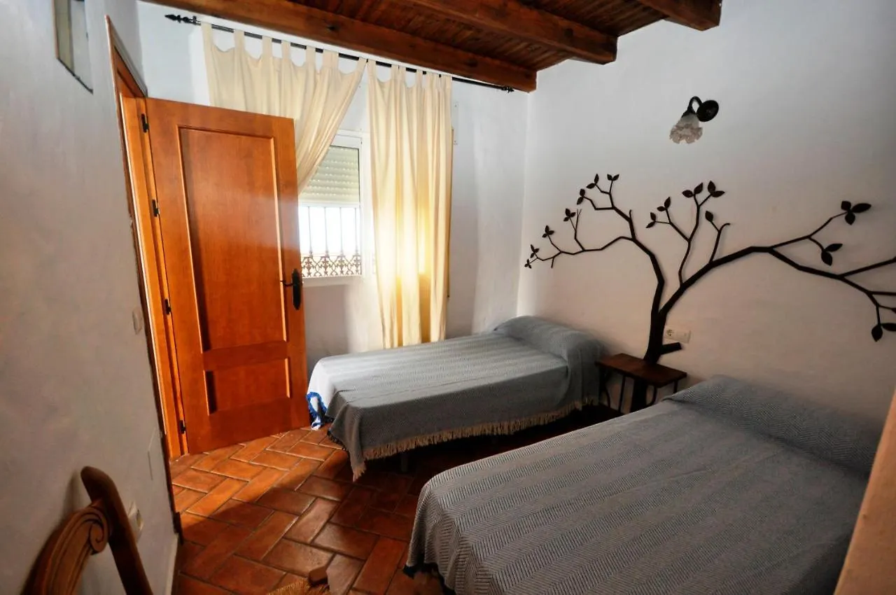Apartamentos Vistas Al Mar Terraza Comunitaria 콘일데라프론테라