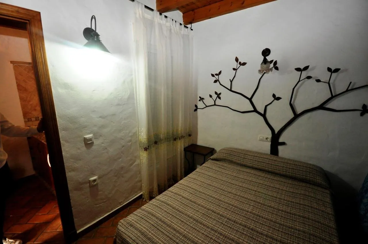 Apartamentos Vistas Al Mar Terraza Comunitaria 콘일데라프론테라